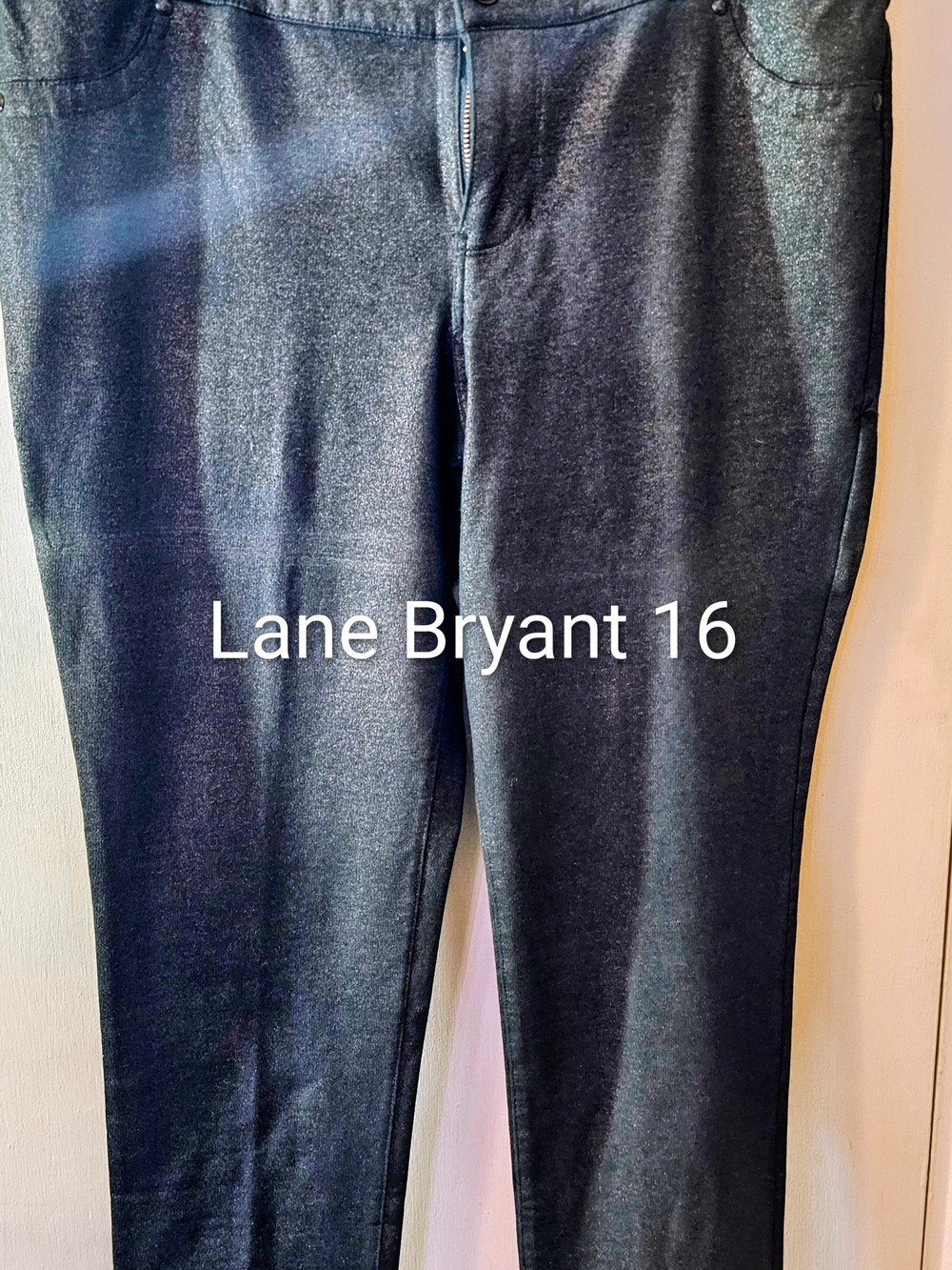 Lane Bryant Black Pull-On Jeggings with Subtle Shine